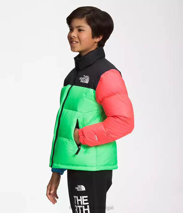 kleding 280T340 chlorofyl groen Retro nuptse jasje uit 1996 kinderen The North Face