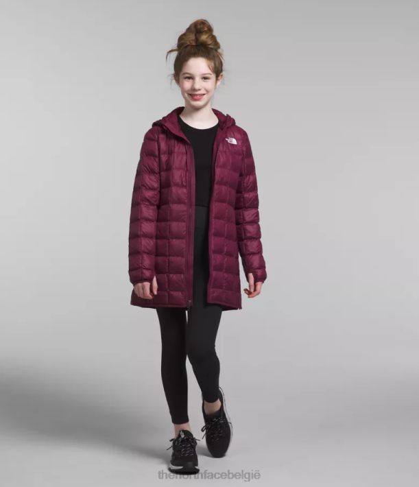 kleding 280T459 jongensbes thermoball parka kinderen The North Face