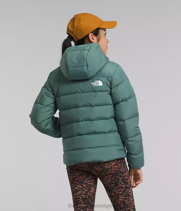 kleding 280T628 donkere salie omkeerbare North-down jas met capuchon kinderen The North Face