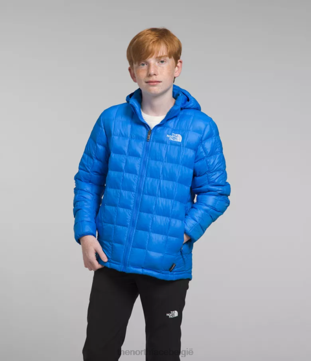 kleding 280T632 optisch blauw Thermoball-jack met capuchon kinderen The North Face