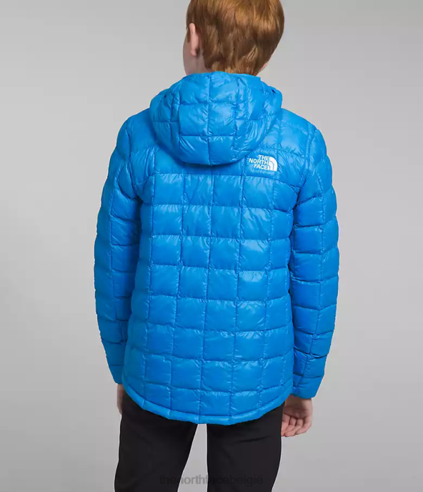 kleding 280T632 optisch blauw Thermoball-jack met capuchon kinderen The North Face