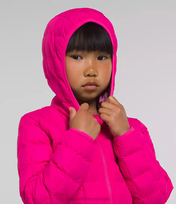 kleding 280T1239 Dhr. roze omkeerbaar thermoballjack met capuchon kinderen The North Face