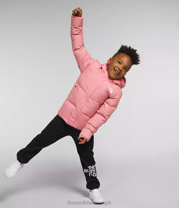 kleding 280T862 schaduwrijke roos North-down jas met capuchon kinderen The North Face