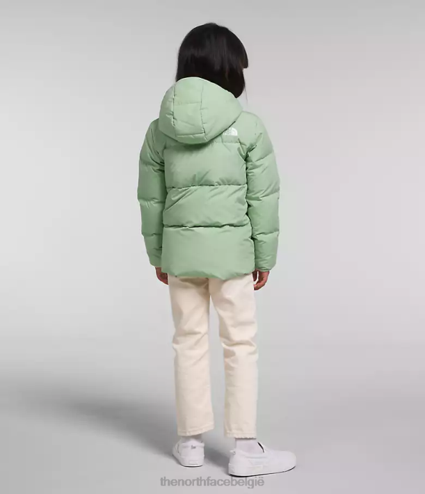 kleding 280T864 mistige salie North-down jas met capuchon kinderen The North Face