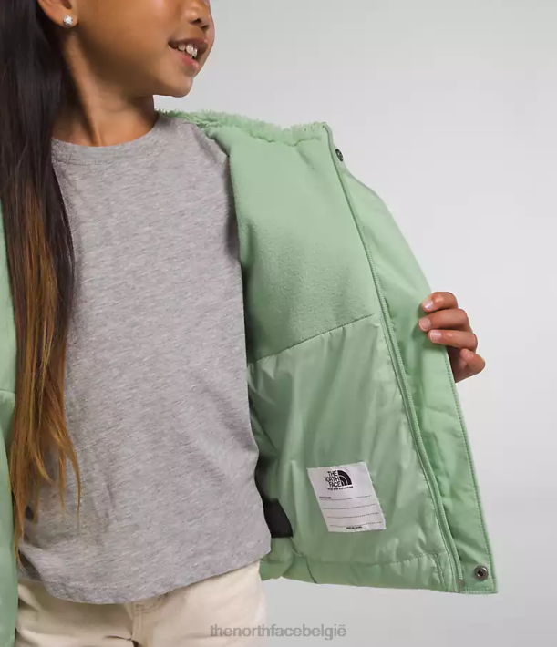 kleding 280T864 mistige salie North-down jas met capuchon kinderen The North Face