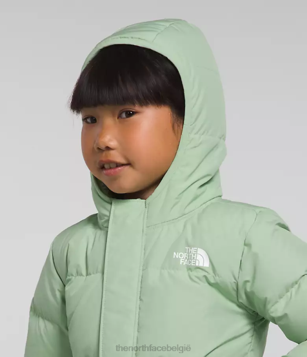 kleding 280T864 mistige salie North-down jas met capuchon kinderen The North Face