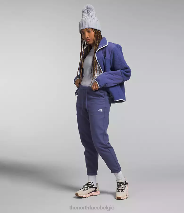 kleding 280T845 grot blauw Alpine polartec 100 broek vrouwen The North Face