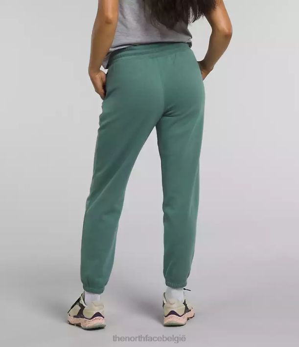 kleding 280T976 donker salie/tnf wit fleece joggingbroek met halve koepel vrouwen The North Face