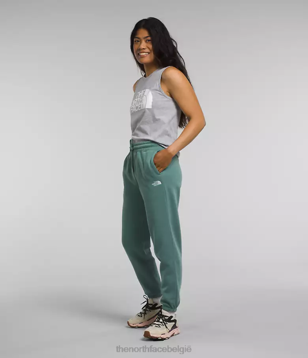 kleding 280T976 donker salie/tnf wit fleece joggingbroek met halve koepel vrouwen The North Face