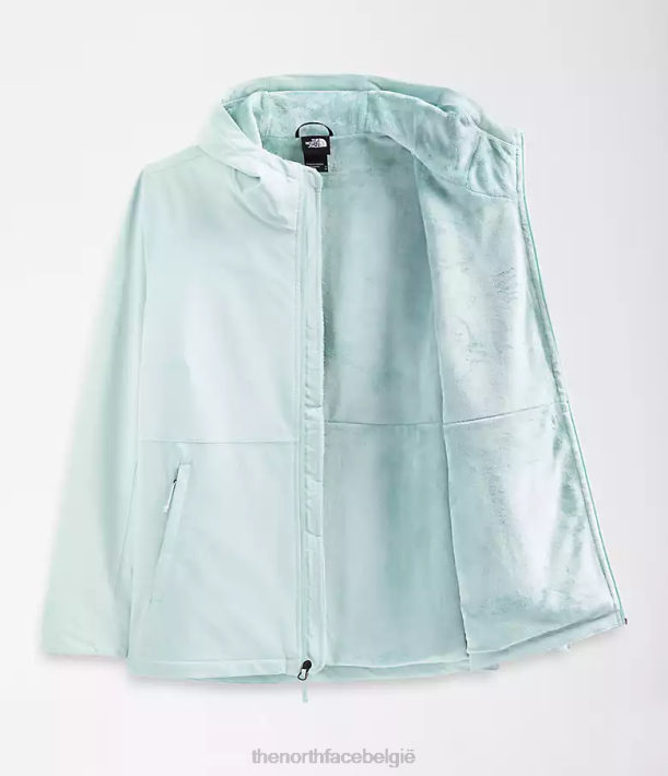 kleding 280T1178 dakraam blauw plus Shelbe Raschel-hoodie vrouwen The North Face