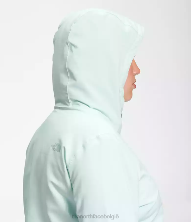 kleding 280T1178 dakraam blauw plus Shelbe Raschel-hoodie vrouwen The North Face