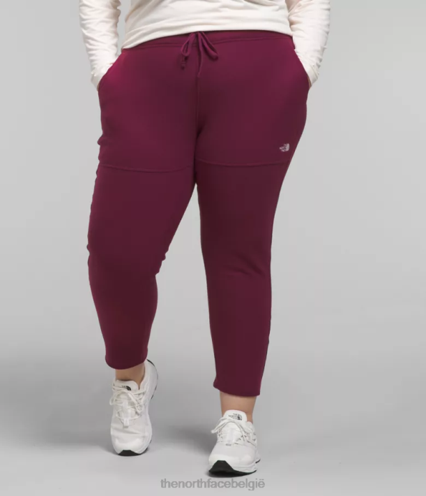 kleding 280T251 jongensbes plus alpine polartec 100 broek vrouwen The North Face