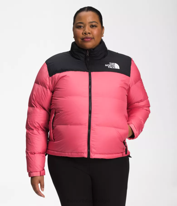 kleding 280T799 kosmo roze plus retro nuptse jasje uit 1996 vrouwen The North Face