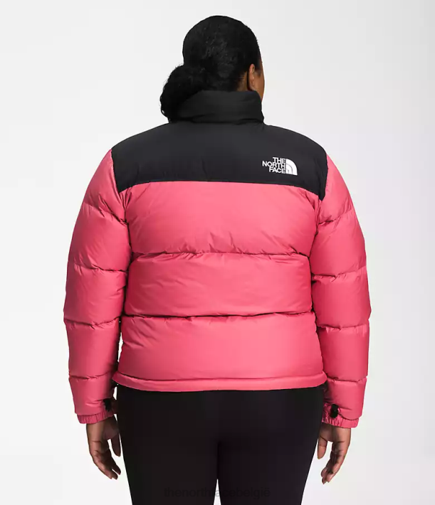 kleding 280T799 kosmo roze plus retro nuptse jasje uit 1996 vrouwen The North Face