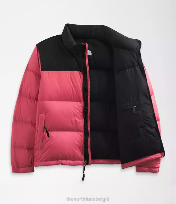 kleding 280T799 kosmo roze plus retro nuptse jasje uit 1996 vrouwen The North Face