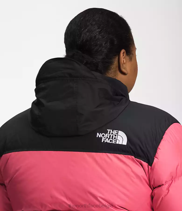 kleding 280T799 kosmo roze plus retro nuptse jasje uit 1996 vrouwen The North Face
