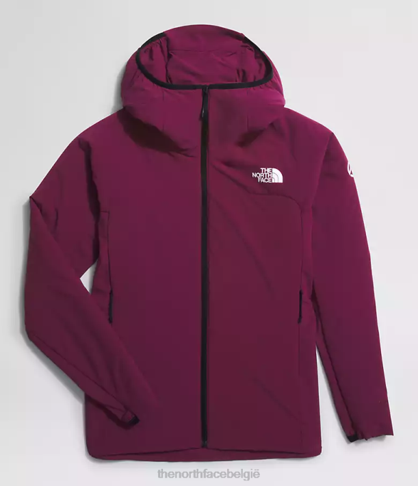 kleding 280T323 jongensbes Summit-serie casaval hybride hoodie vrouwen The North Face
