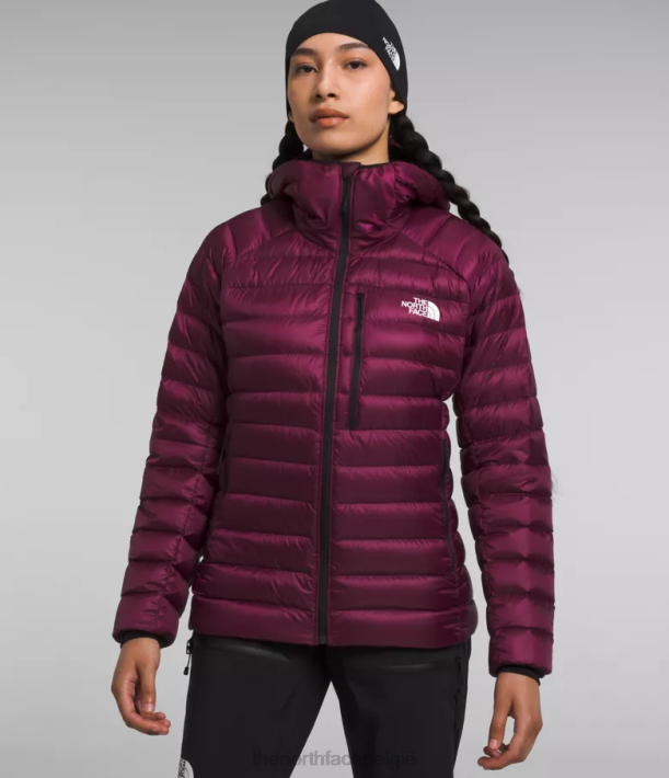 kleding 280T668 jongensbes Summit-serie Breithorn hoodie vrouwen The North Face