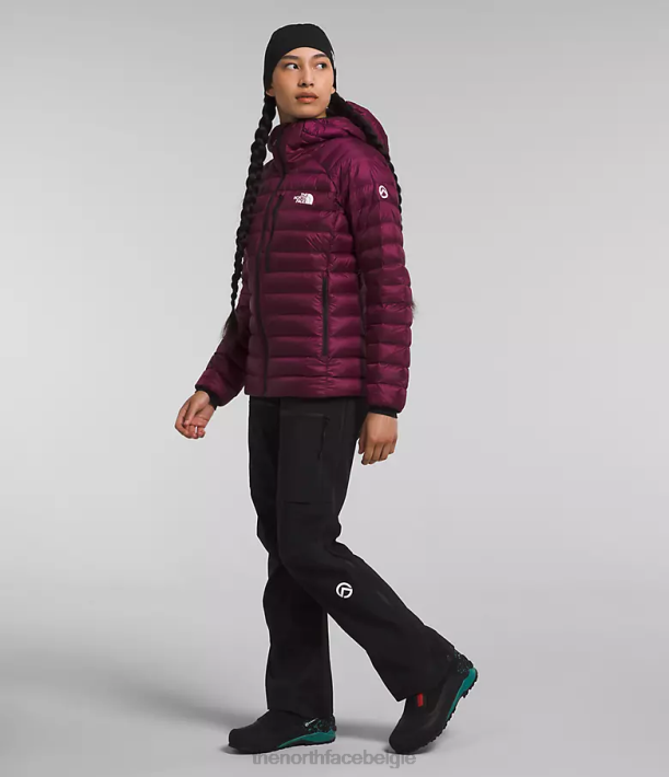 kleding 280T668 jongensbes Summit-serie Breithorn hoodie vrouwen The North Face