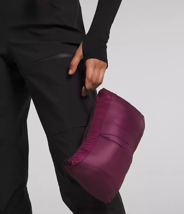 kleding 280T668 jongensbes Summit-serie Breithorn hoodie vrouwen The North Face