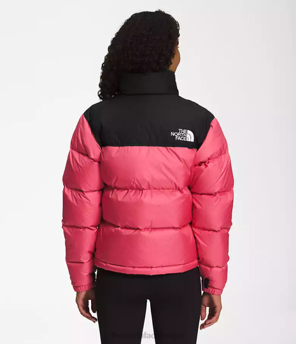 kleding 280T729 kosmo roze Retro nuptse jasje uit 1996 vrouwen The North Face