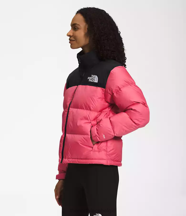 kleding 280T729 kosmo roze Retro nuptse jasje uit 1996 vrouwen The North Face