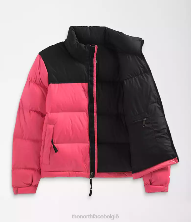 kleding 280T729 kosmo roze Retro nuptse jasje uit 1996 vrouwen The North Face