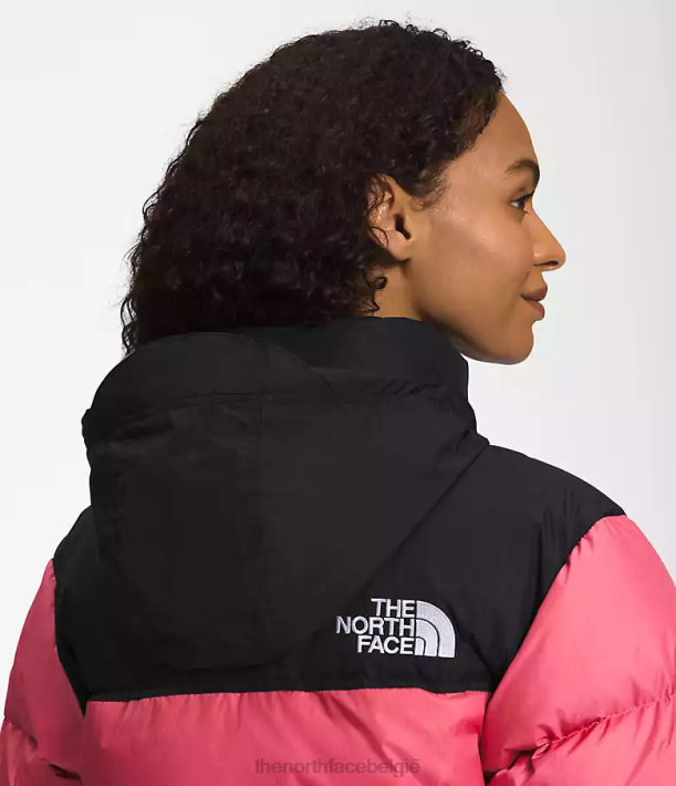 kleding 280T729 kosmo roze Retro nuptse jasje uit 1996 vrouwen The North Face