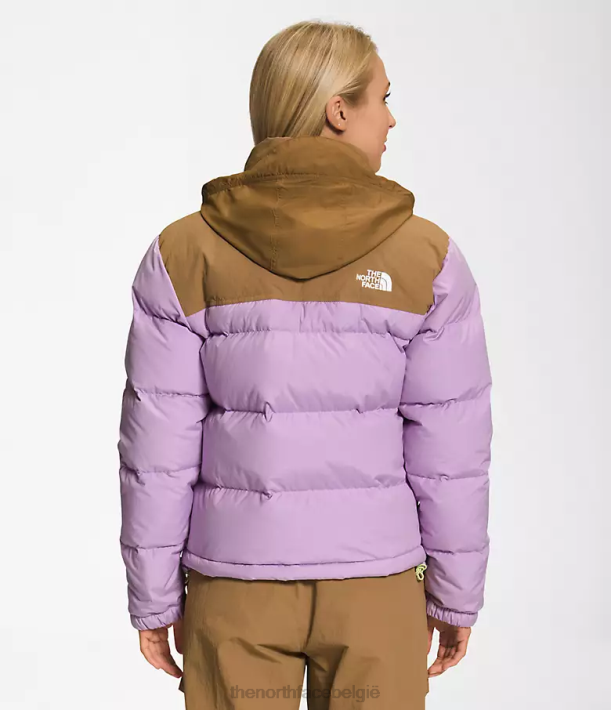 kleding 280T1015 lupine/nuttig bruin 92 low-fi hi-tek nuptse jas vrouwen The North Face