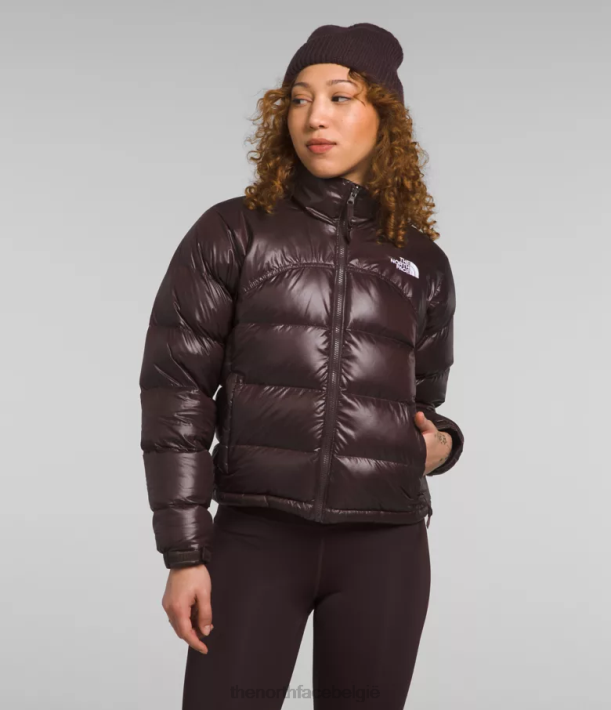 kleding 280T804 steenkool bruin Retro nuptse jas uit 2000 vrouwen The North Face