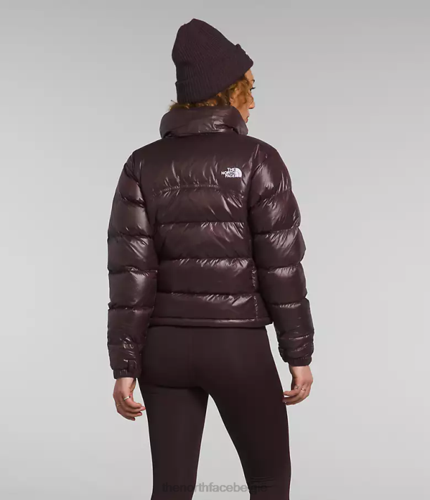 kleding 280T804 steenkool bruin Retro nuptse jas uit 2000 vrouwen The North Face
