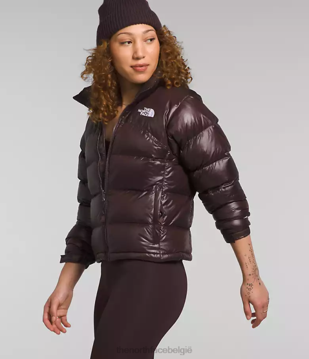kleding 280T804 steenkool bruin Retro nuptse jas uit 2000 vrouwen The North Face