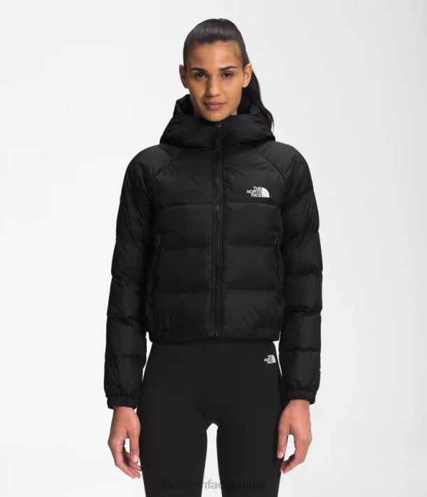 kleding 280T889 tn zwart hydrenaliet donshoodie vrouwen The North Face