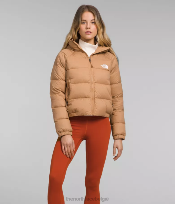 kleding 280T892 amandelboter hydrenaliet donshoodie vrouwen The North Face