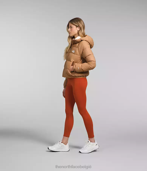 kleding 280T892 amandelboter hydrenaliet donshoodie vrouwen The North Face