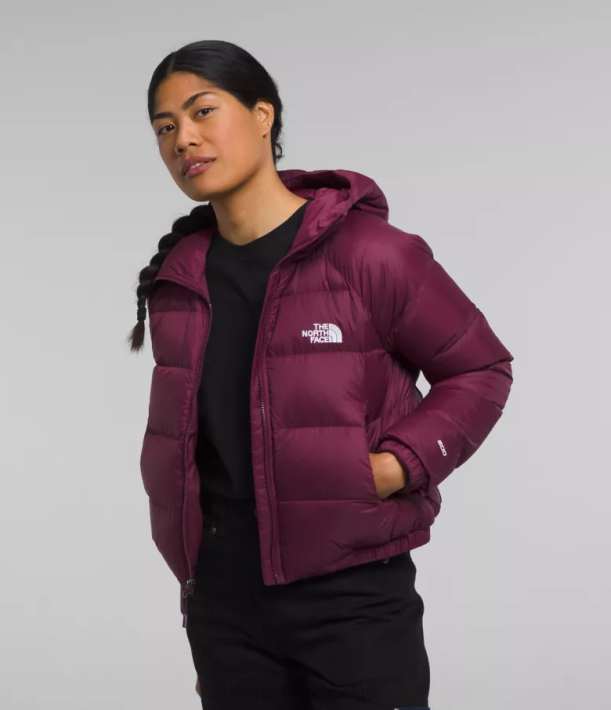 kleding 280T893 jongensbes hydrenaliet donshoodie vrouwen The North Face