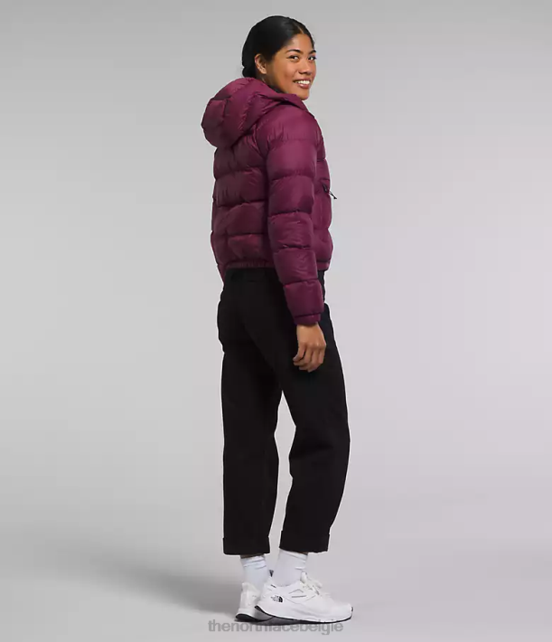 kleding 280T893 jongensbes hydrenaliet donshoodie vrouwen The North Face