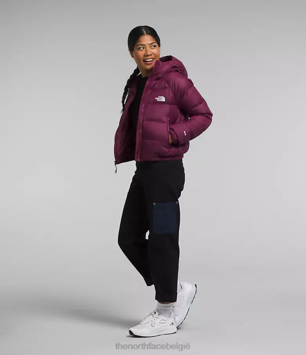 kleding 280T893 jongensbes hydrenaliet donshoodie vrouwen The North Face