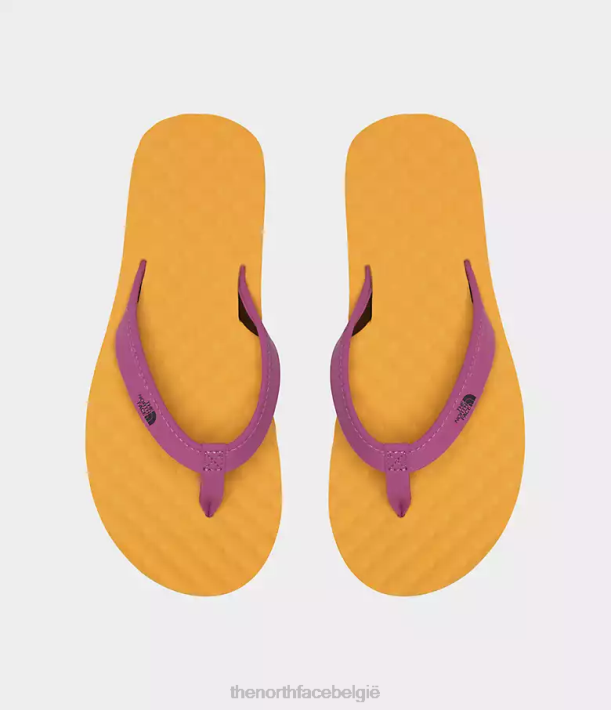 schoenen 280T64 basiskamp top goud/paarse cactusbloem basiskamp mini-slip-ons ii vrouwen The North Face