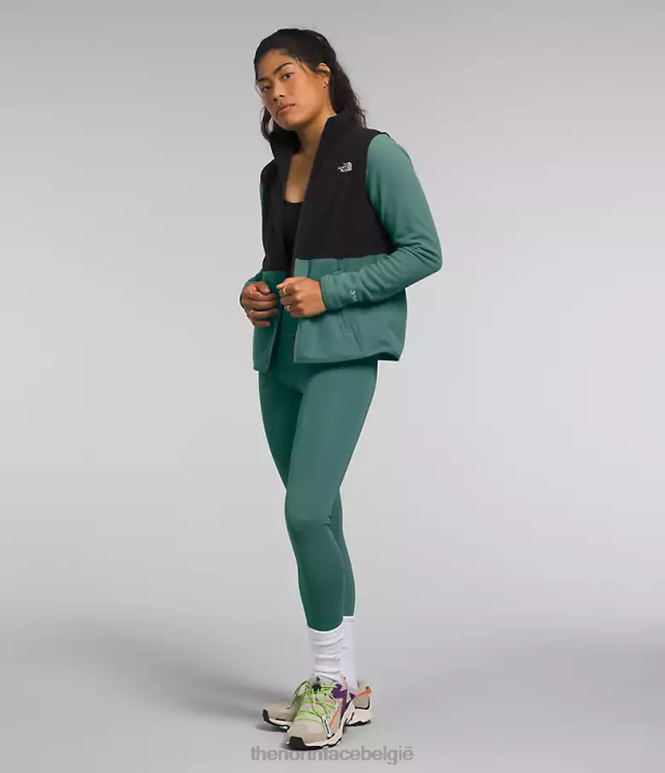 kleding 280T443 donker salie/tnf zwart Alpine Polartec 100-jas vrouwen The North Face